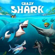 Crazy Shark