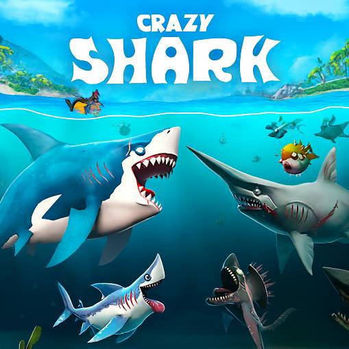 How to Play Crazy Shark